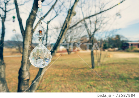 木に吊るされたサンキャッチャー【安曇野ちひろ公園】 72587984