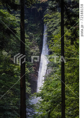 神奈川県/ 掛け軸に描かれたような滝「洒水の滝」 神奈川県/ 掛け軸に描かれたような滝「洒水の滝」 72588158