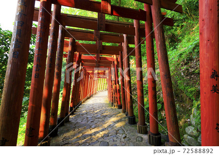 神社の風景 72588892