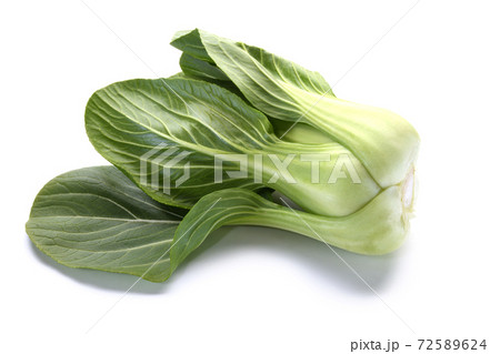 Bok-choy - Stock Photo [72589624] - PIXTA