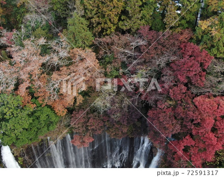 紅葉の白糸の滝 紅葉の白糸の滝 72591317