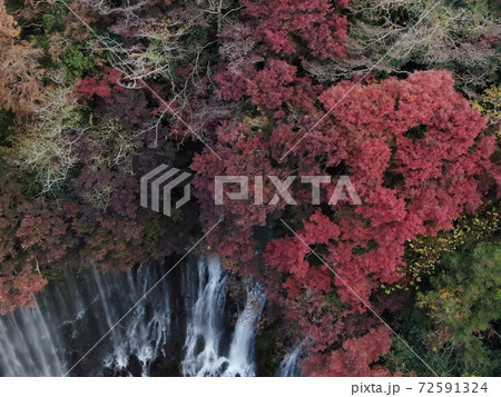 紅葉の白糸の滝 72591324