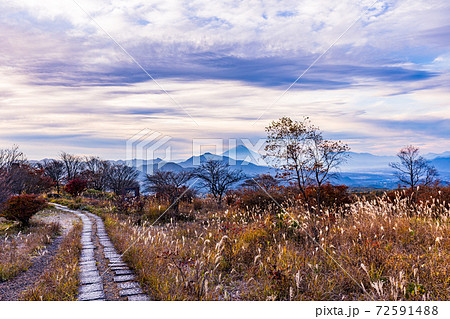 【山梨県】秋の八ヶ岳・美し森から望む富士山　夜明け 72591488