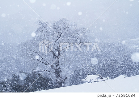 雪の里 72591634