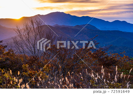 【山梨県】八ヶ岳・美し森から見る日の出 72591649