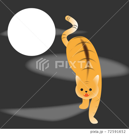 掛け軸風デザインの虎猫 Tiger Cat In Asian Hanging Scroll Artのイラスト素材