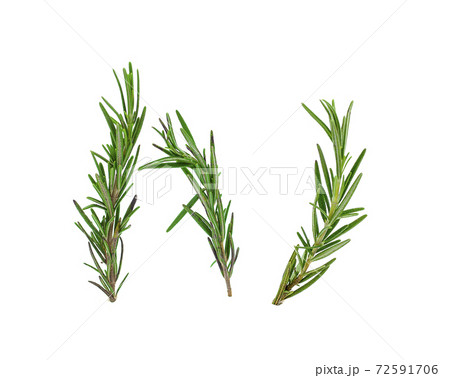Fresh green sprigs of rosemary isolated on a white background 72591706