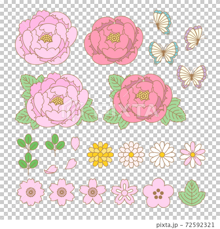 牡丹イラスト素材 : Peony illustration material 牡丹イラスト素材 : Peony illustration material 72592321