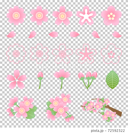 Sakura illustration material: Sakura illustration material 72592322