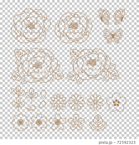Peony illustration material: Peony illustration material 72592323