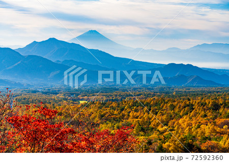 【山梨県】秋の八ヶ岳・美し森から望む、富士山 遠望 【山梨県】秋の八ヶ岳・美し森から望む、富士山 遠望 72592360