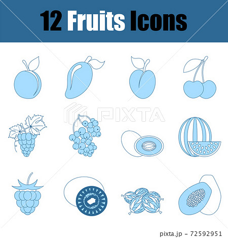 Fruits Icon Set 72592951