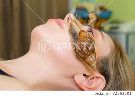 Caring for the skin of the face of the big snails Akhatina. Caring for the skin of the face of the big snails Akhatina. 72593501