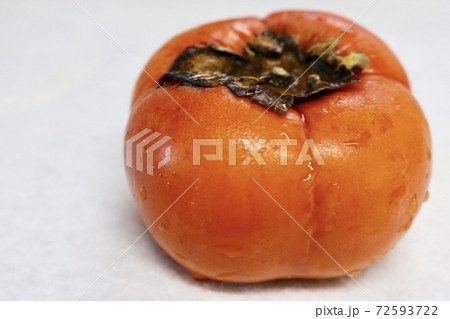 柿一個余白コピースペース秋の味覚 72593722