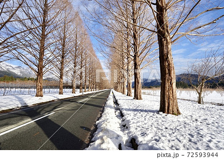 冬 ウインター ウィンター 72593944