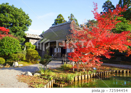日本庭園の紅葉 新潟市 新潟県 日本の写真素材