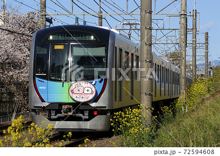 桜並木を行く西武新宿線40050系 72594608