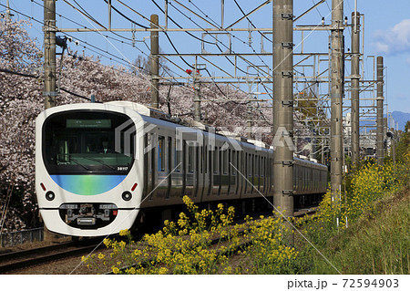 桜並木を行く、西武新宿線30000系（スマイルトレイン） 72594903