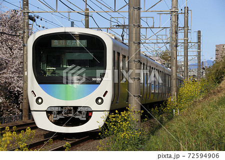 桜並木を行く、西武新宿線30000系（スマイルトレイン） 72594906