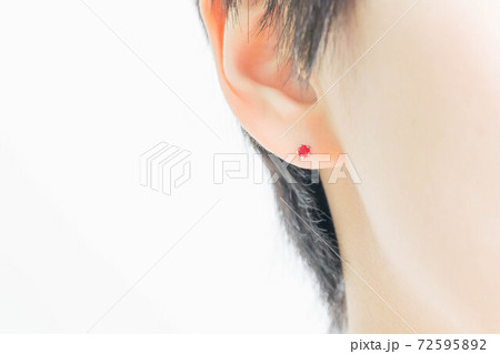 若い女性の耳 【ピアス】 72595892
