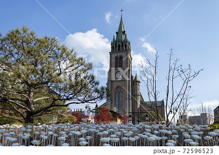 青空の明洞聖堂 青空の明洞聖堂 72596523