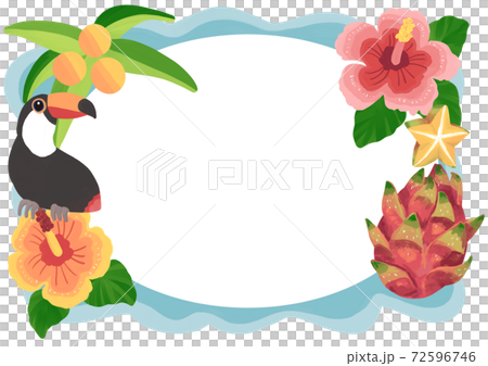 Tropical beach image frame Tropical beach image frame 72596746