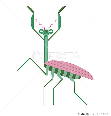Praying Mantis Icon in Geometric Flat Style 72597382