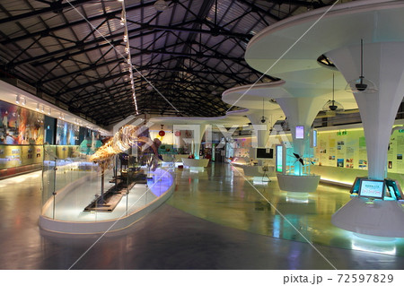 旅行 行程 旅 72597829