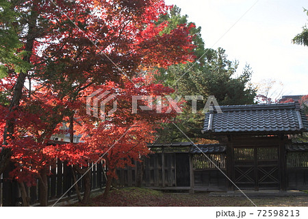 椿寿荘　新潟 72598213