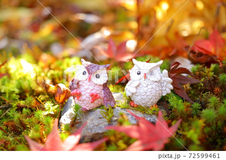 神蔵寺の可愛いフクロウたちの写真素材