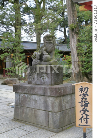 久伊豆神社(ひさいずじんじゃ)越谷市 久伊豆神社(ひさいずじんじゃ)越谷市 72601317