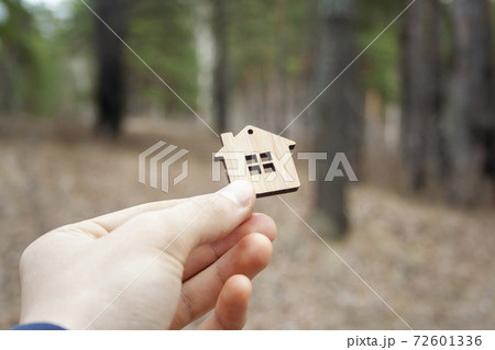 Save the nature. Forest is our home. Stop deforestation. Save the nature. Forest is our home. Stop deforestation. 72601336