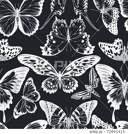 Seamless Pattern With Hand Drawn Chalk Giant のイラスト素材