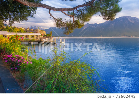 Flowers and Lake Geneva, Switzerland 72602445
