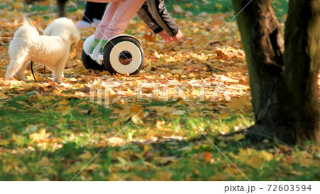 People with gyroscooter and white dog in the park. 72603594