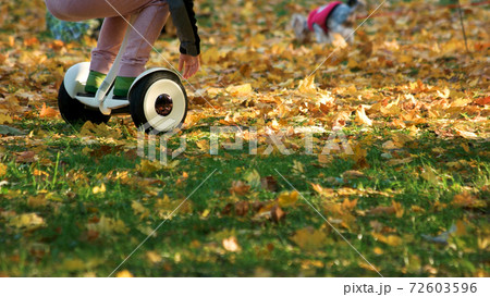 Little kid riding gyroscooter on the grass. 72603596