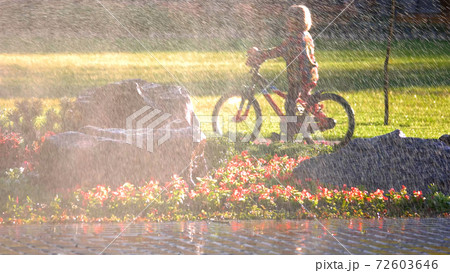 Kid riding on bicycle in park on sunny day. 72603646