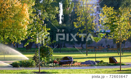 Beautiful summer park with landscape design. 72603647