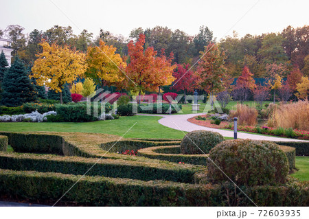 Empty autumn park landscape. 72603935