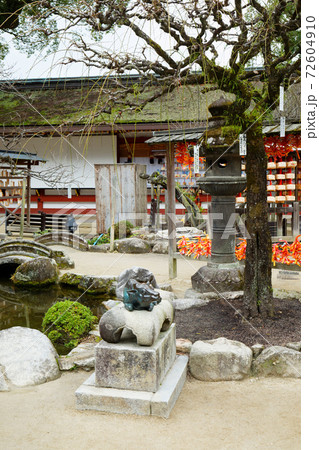 御神牛　太宰府天満宮 72604910