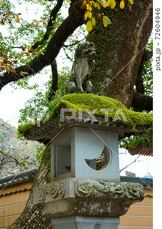 石燈籠 太宰府天満宮 石燈籠 太宰府天満宮 72604946