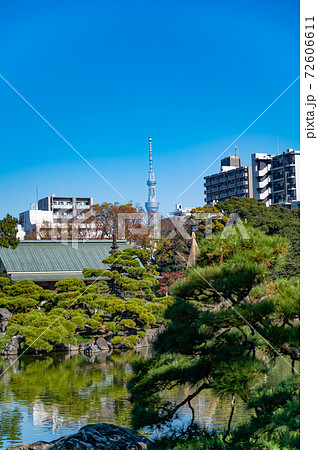東京都江東区清澄庭園大泉水　 72606611