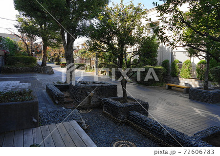 11月　世田谷505用賀プロムナード･いらかみち 72606783