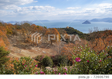 岡山県玉野市の王子が岳、山頂付近の駐車場からニコニコ岩と紅葉と瀬戸内海と瀬戸大橋を晴れた日に見た 72606790