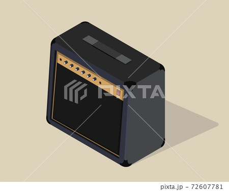 Vector isometric amplifier. Guitar combo amp isolated. 72607781