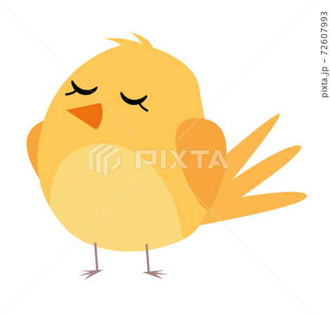 Isolated yellow chicken hygge style 72607993