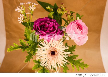 ガーベラ　ファンシースパーダ 72608920