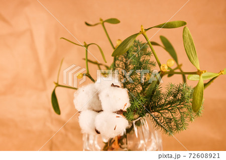 コットンとヤドリギ コットンとヤドリギ 72608921