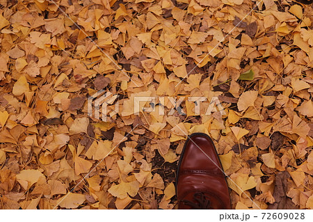 銀杏と靴 72609028