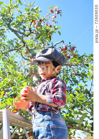 りんご畑と男の子 72609030